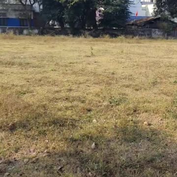 Get Fit and Feel Great 😉😎