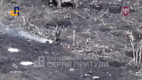 Ukrainian FPV drone attacks Russian soldiers