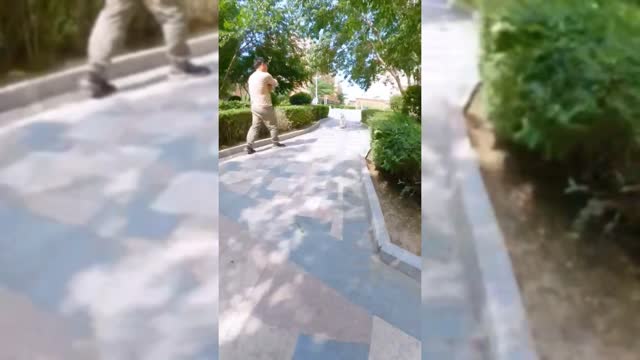 HOW CAN I SPEND THE DAY WITH SKATEBOARD