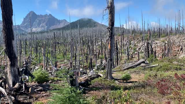 Central Oregon - Mount Jefferson Wilderness - Burnout Basin