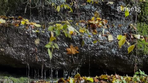 the thing most interesting about being alive