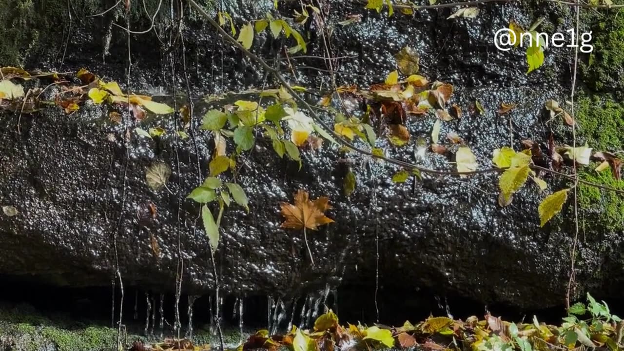 the thing most interesting about being alive