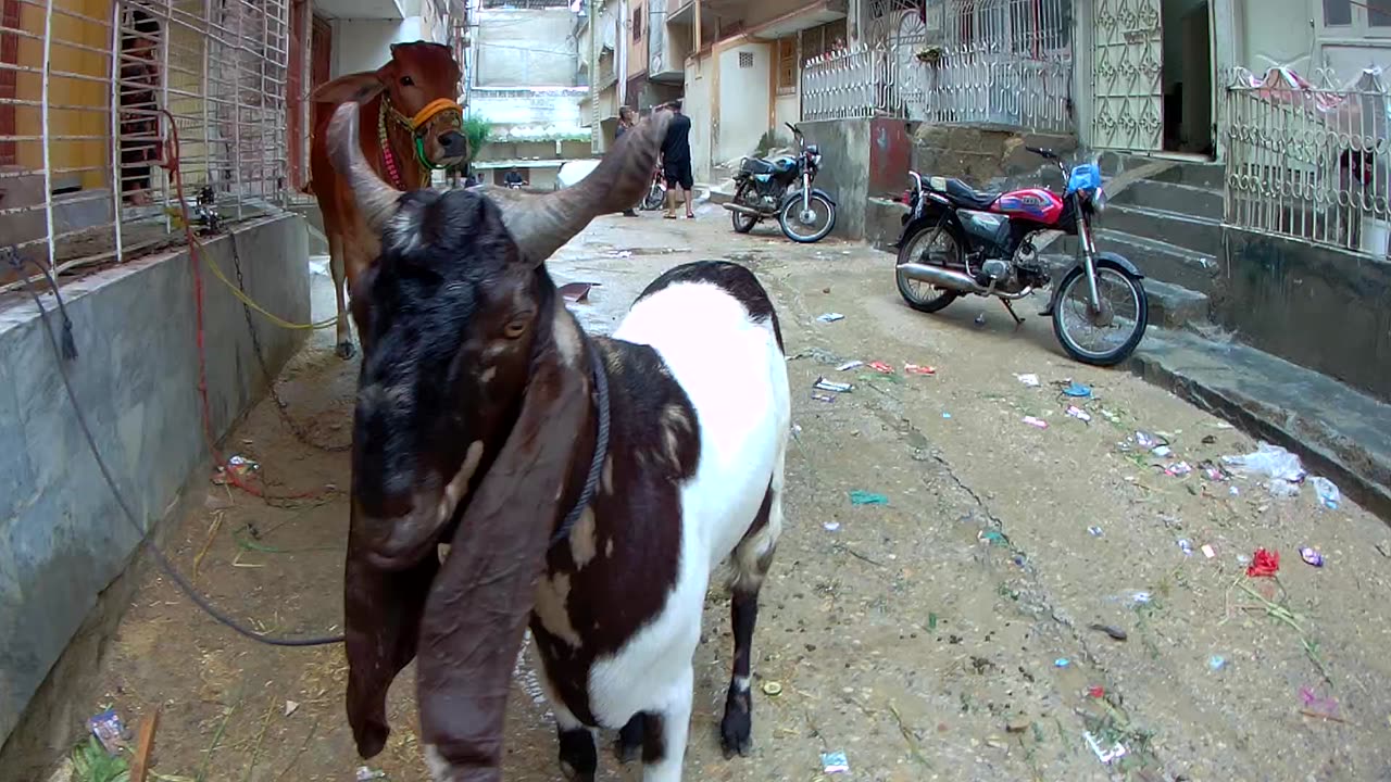 Rain in Karachi