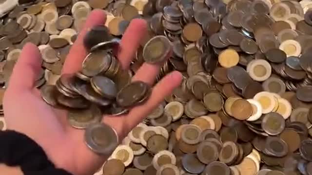 How Much Money Did We Save in Loonies and Toonies in 4 Years?