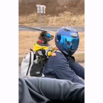 riding around town with the owner i love