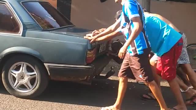 Toddy the Dog Helps Friends Push Car