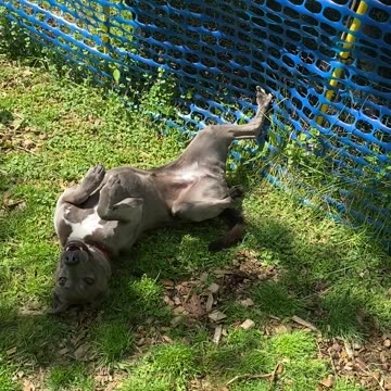 Not listening to you!