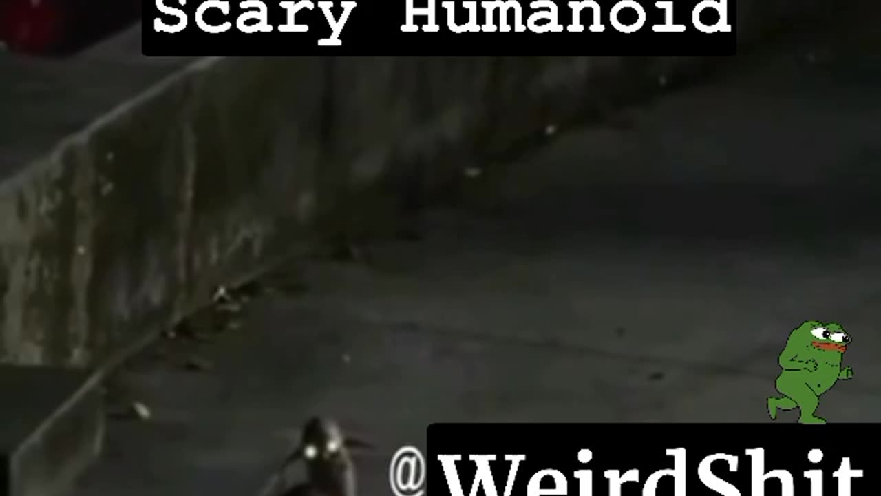 SCARY HUMANOID CREATURE ATTACKED THE AUTHOR OF THE VIDEO