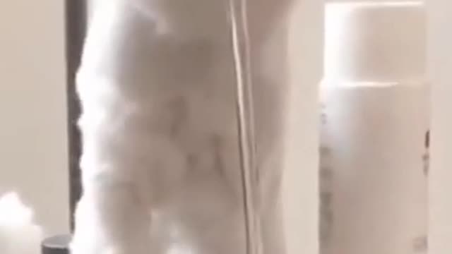 Funny cat videos