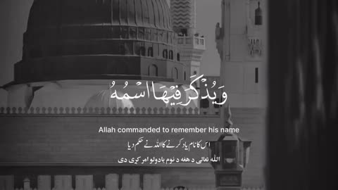 Quran recitation