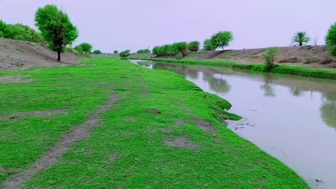 My Village Natural Beauty