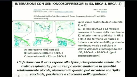 MAX DEL PAPA E PATRIZIA GENTILINI "mRNA E RISCHIO TUMORI" CAMPO SAN MARTINO (PD)