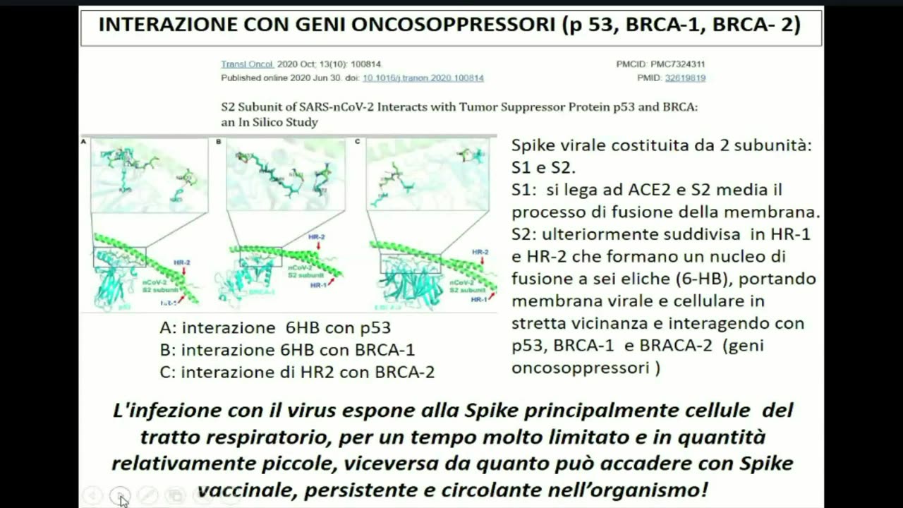 MAX DEL PAPA E PATRIZIA GENTILINI "mRNA E RISCHIO TUMORI" CAMPO SAN MARTINO (PD)