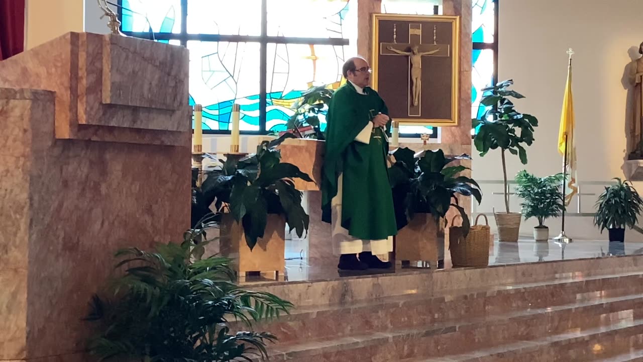 Father Martin Dunne homily 20th Sunday in Ordinary time 8/18/24