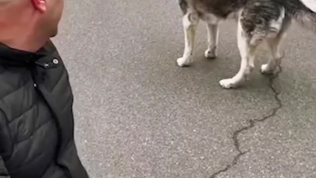 This is the moment a dog and owner were reunited after being separated by