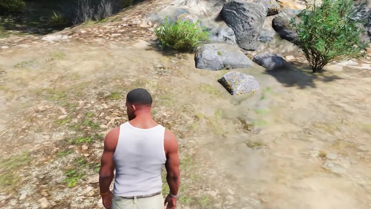 GTA v gameplay