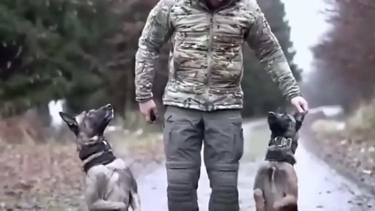 ВІРНІ ❤️🔥