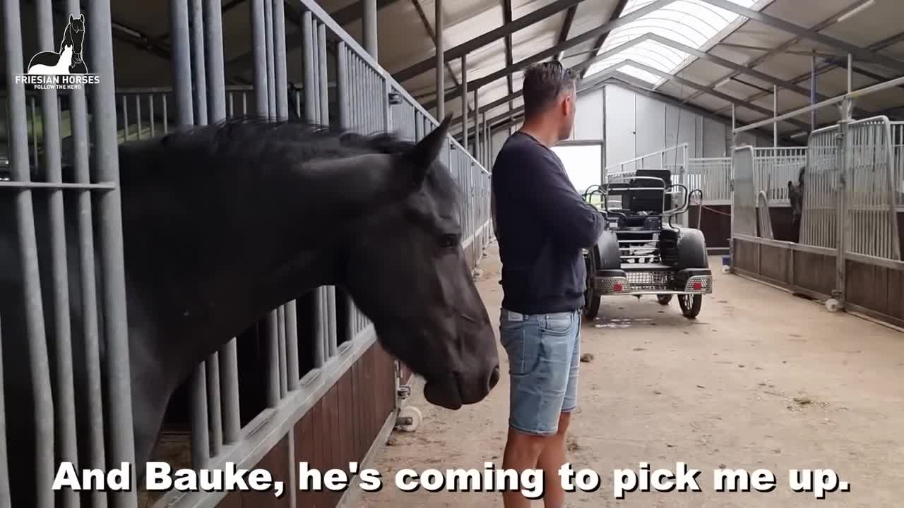 Johnny😎 and more! Pony Spidey still loves to play with dog Dieuwke