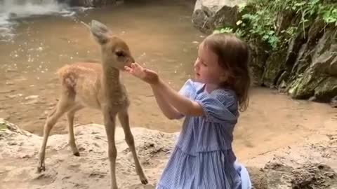 Little girl making friends with bambi at honey falls 🦌😍