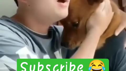 Funny video