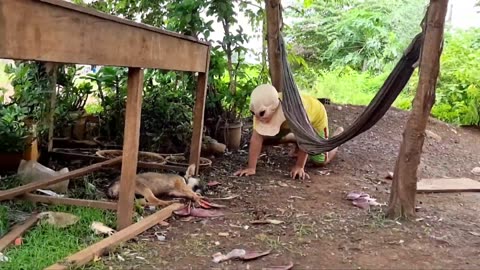 Dog prank prank dog