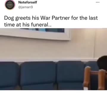Dog greets his War Partner for the last time at his funeral!