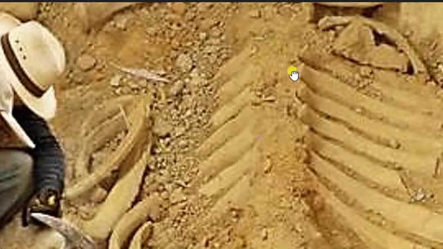 네피림 거인 구라 (1080p)