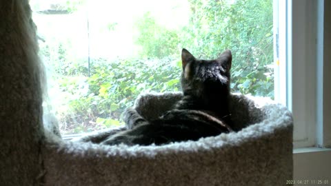 Cassie playing in the tower, part 3