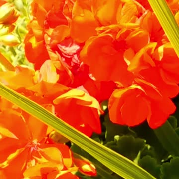 Transform Your Mood: How Relaxing This is Volume 103v2