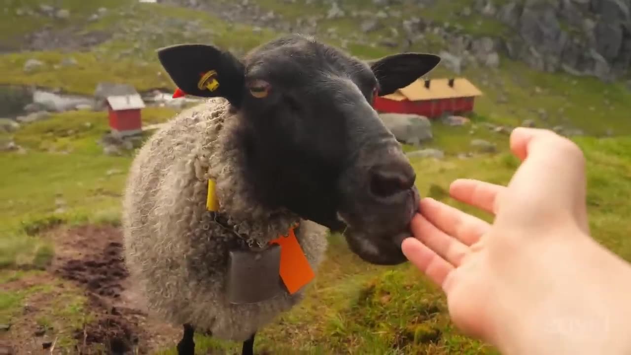 The Real Adventure of Norway
