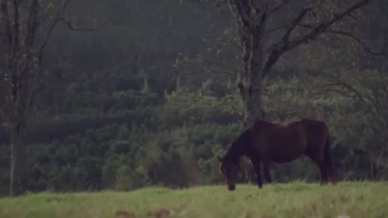 Best of Country Music of All Time🎵Garth Brooks, Alan Jackson, George Strait...