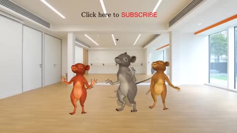 Funny Rat Dance Must Watch