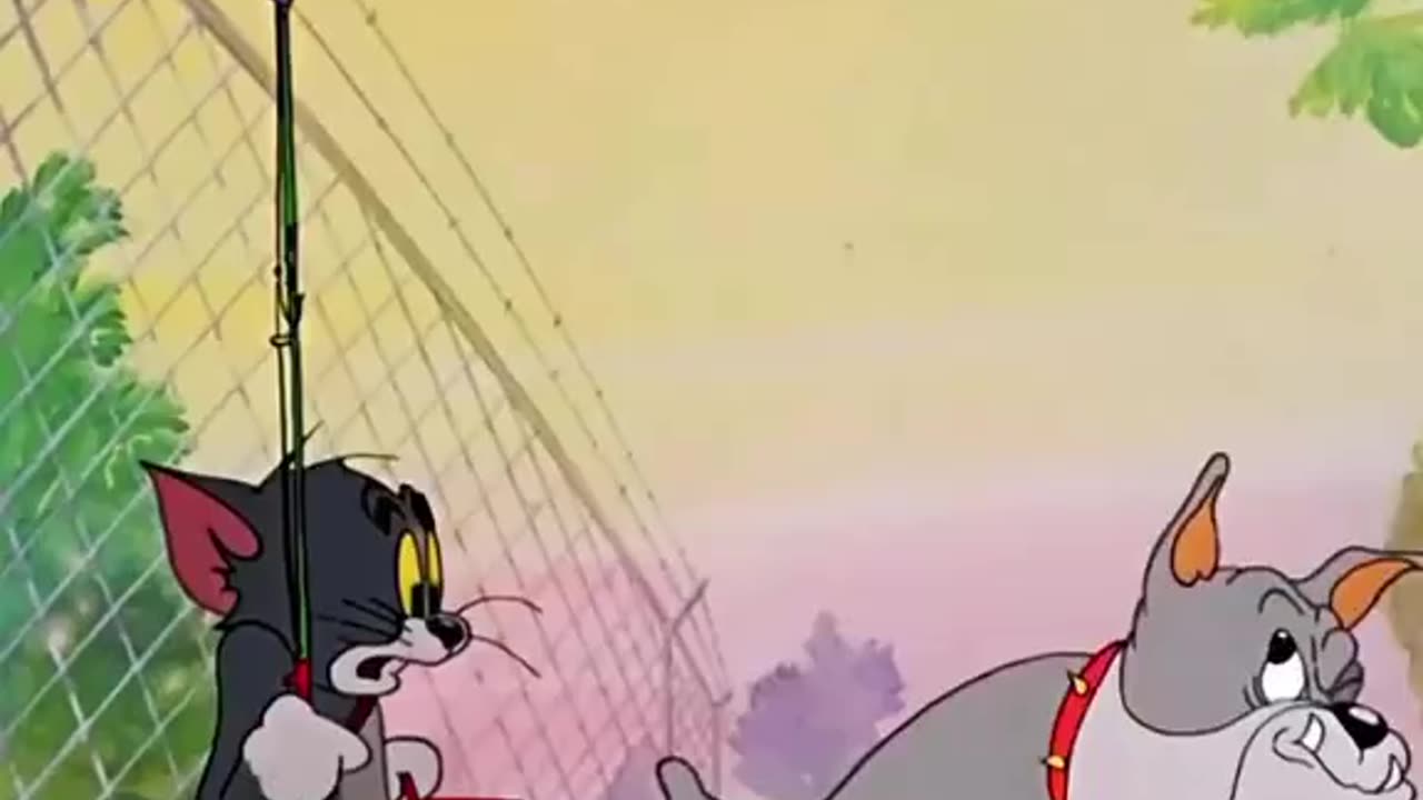 Tom and jerry vs real tom jerry