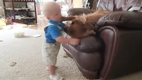 Dog Pushes Baby