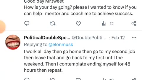 Dog Coin Memes Episode 4