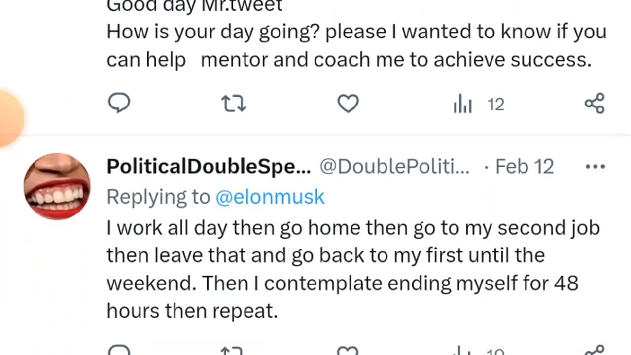 Dog Coin Memes Episode 4