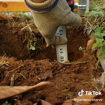 Greenhouse Update 11-25-22