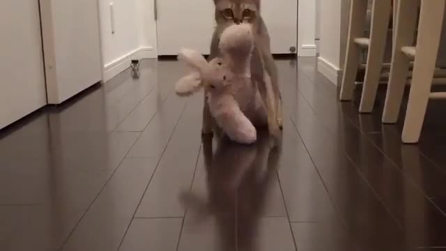 person
