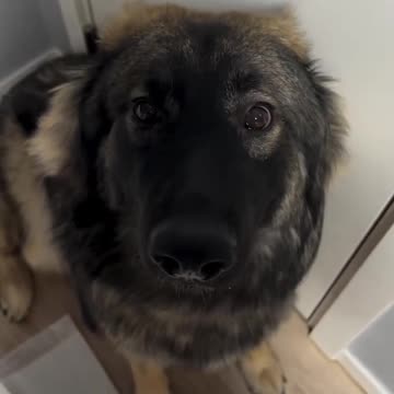 Not the luxury wallet 😭 It couldn't possibly be him!