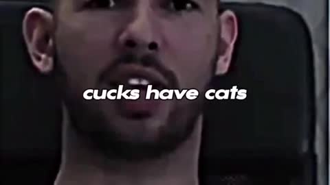Andrew Tate has Beef with CATS !!