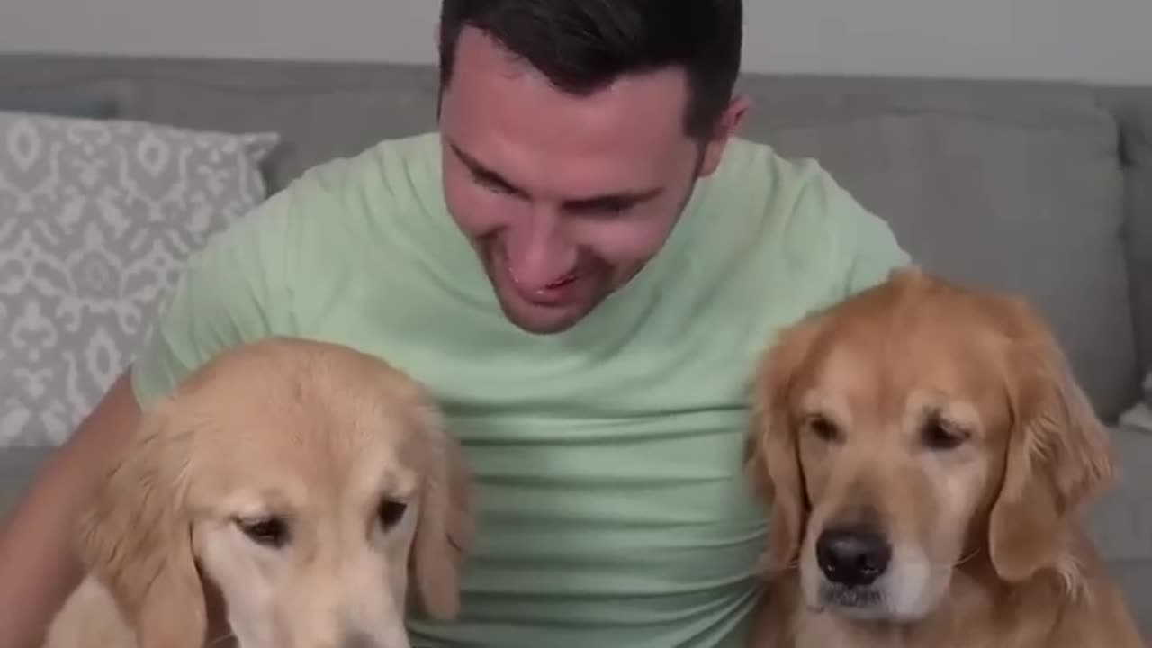 Puppy vs Adult Dog taste test