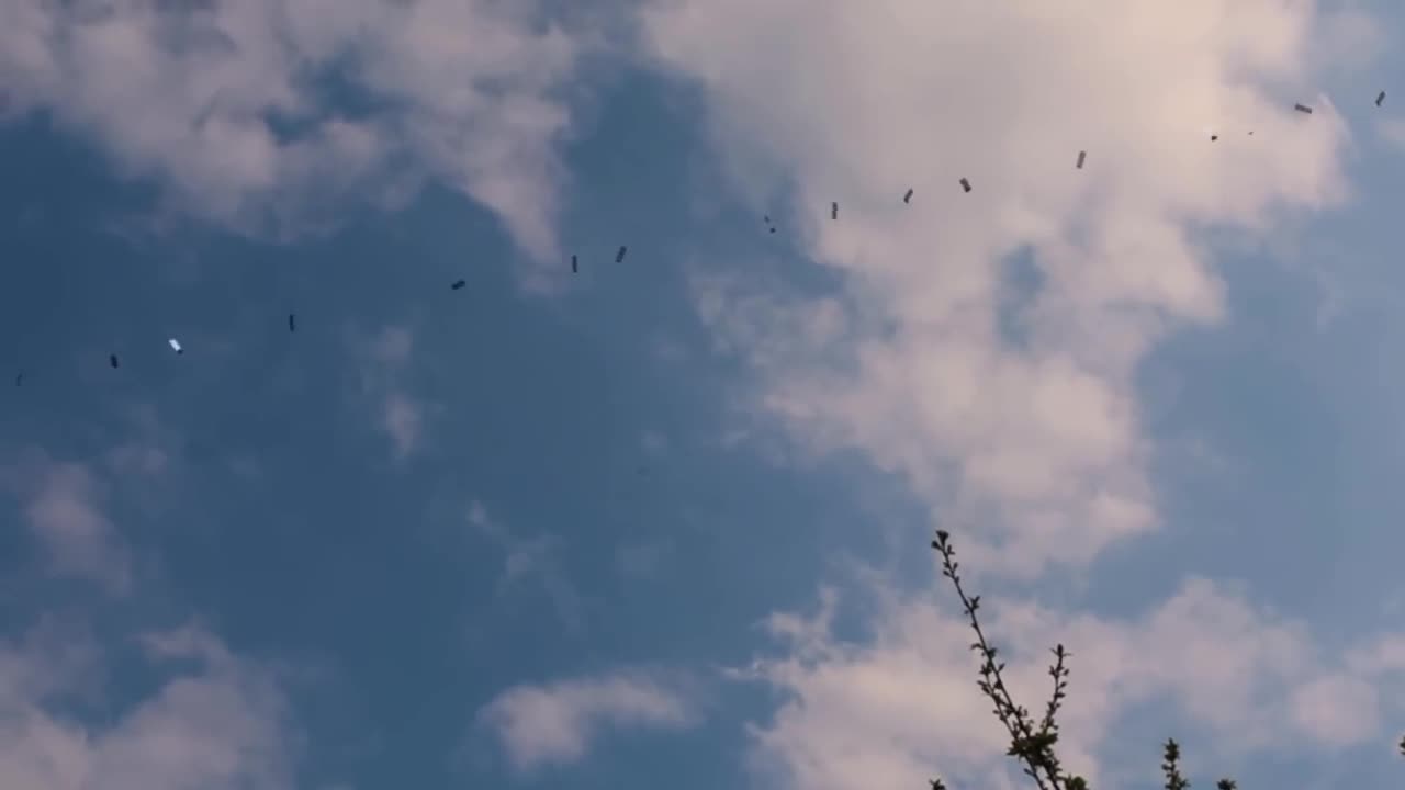 Starlink Satellites train seen in the sky Low pass Elon musk spaceX