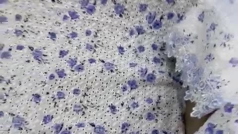 Farida Hassan