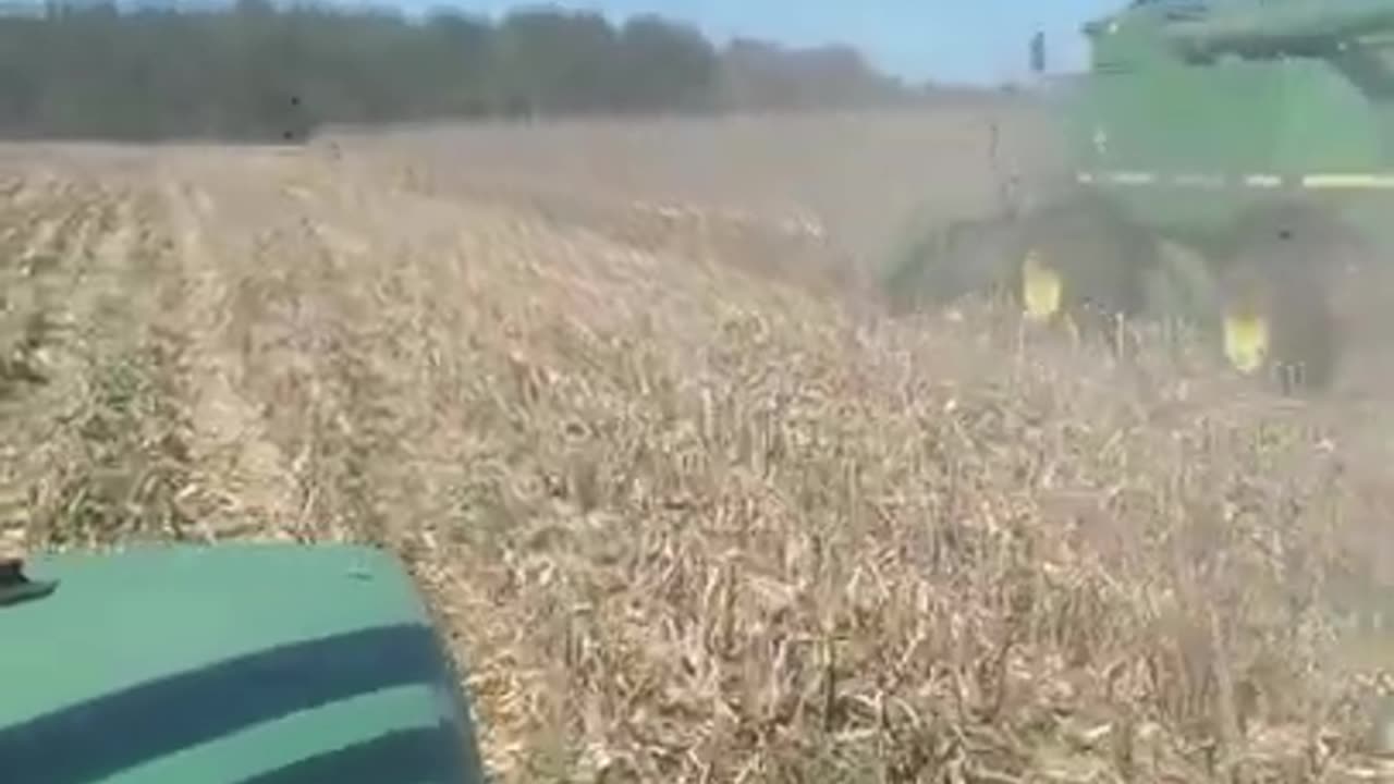 Grain cart racing the combine