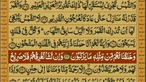SURAH YASEEN WITH ARABIC TEXT /TILWAT ONLY #6692FOR ESAL E SAWAB UMMAT E MUHAMMADIA #6692