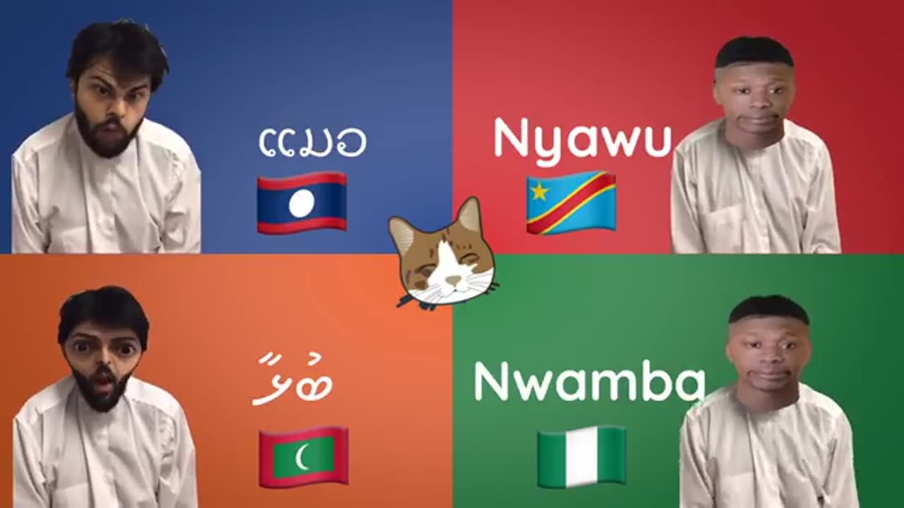 Meow Around the World: Discover How to Say 'Cat' in Different Languages
