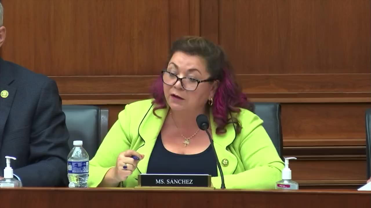 Bonehead Dem Congresswoman Tries to School Witness but She Didn't do Her Research