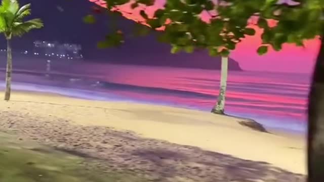 #beachview #beach #sunset #tree #beautifulsky #beauty #foryou #tiktok #scenery