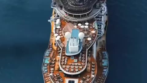 The largest cruise ship in the world