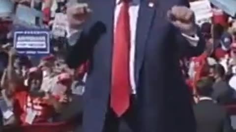 DANCING TRUMP - DU DUDUUD UDDU